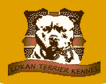 Lokan Terriers